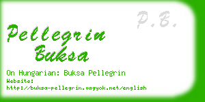 pellegrin buksa business card